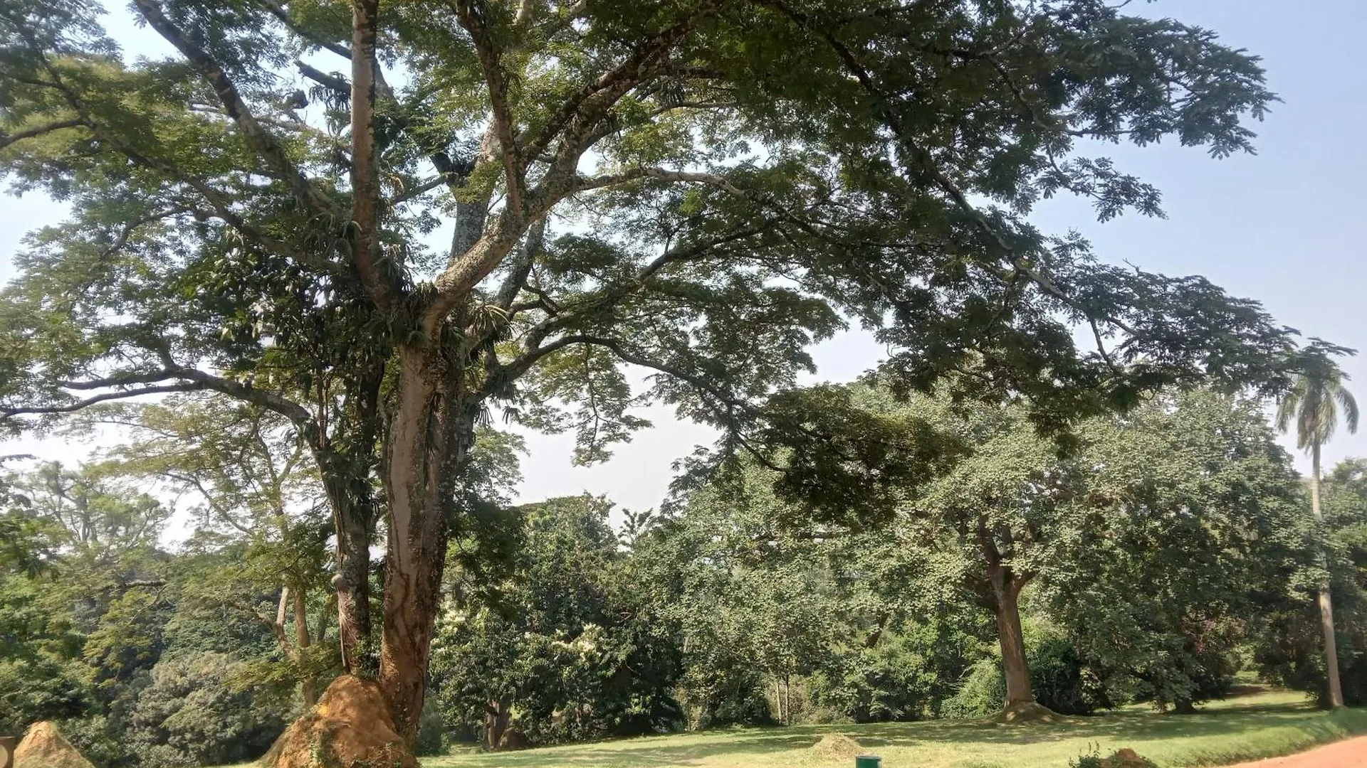 Mowicribs Hotel And Spa Entebbe